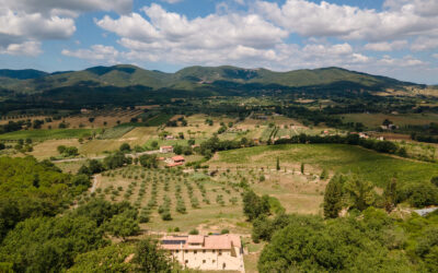 Gite culturali in Maremma: musei e siti archeologici vicini